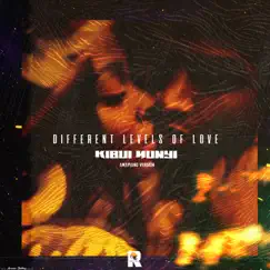 Different Levels of Love - Single by Kibui Munyi album reviews, ratings, credits