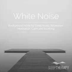 Soothing White Noise (Airplane) Song Lyrics