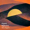 Organic Reflections - EP album lyrics, reviews, download