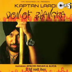 Don of Bhangra by Vinay Vinayak, Gaurav Dayal, Ashok Sharma, Jeetu G, Sachin Gupta & Two Tone album reviews, ratings, credits
