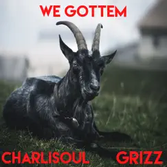 We Gottem (feat. Grizz) - Single by CharliSouL album reviews, ratings, credits