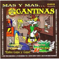 Mas y Mas Cantinas - Entre Copa y Copa by Banda Zorro album reviews, ratings, credits