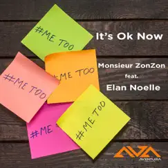 It's Ok Now (feat. Élan Noelle) - Single by Monsieur ZonZon album reviews, ratings, credits