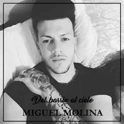 El asesinato (feat. El Gordomusic, Diissaauul, Mendoza & Chiky.dlrs) - Single by Miguel Molina album reviews, ratings, credits
