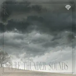 Pure Thunder Sounds by Thunderstorms album reviews, ratings, credits