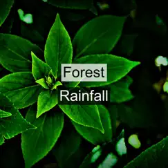Forest Rainfall by Forest Sounds album reviews, ratings, credits