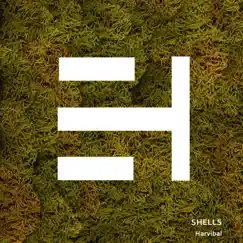 Shells - Single by Julian Velez, Maurizio Ruggiero & Riven Benavi album reviews, ratings, credits