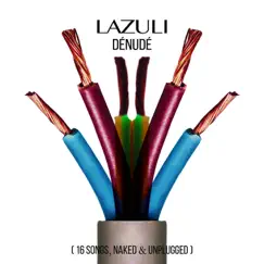 Dénudé (16 songs, naked and unplugged) by Lazuli album reviews, ratings, credits