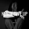 Never Give Up - Single album lyrics, reviews, download