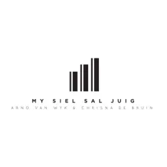 My Siel Sal Juig (feat. Arno van Wyk & Chrisna De Bruin) - Single by Revelation Enterprises album reviews, ratings, credits