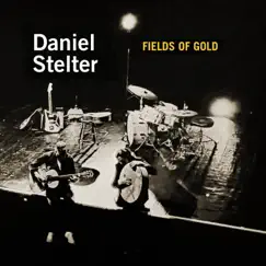 Fields of Gold - Single by Daniel Stelter album reviews, ratings, credits