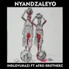 Nyandzaleyo (feat. Afro Brotherz) - Single album lyrics, reviews, download