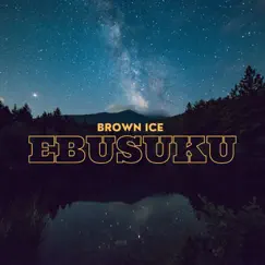 Ebusuku - Single by Brown Ice album reviews, ratings, credits