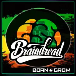 Born & Grow - Single by Braindread album reviews, ratings, credits