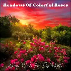 Some Words For Deep Nights - Single by Meadows Of Colorful Roses album reviews, ratings, credits