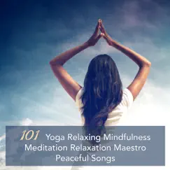 Soothing Music (Sounds for Reiki and Tai Chi) Song Lyrics