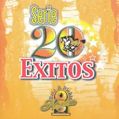 Serie 20 Éxitos by Grupo Soñador album reviews, ratings, credits