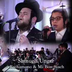 Rachamono & Mi Bon Siach (feat. Shulem Saal & a Team Orchestra) - Single by Shmueli Ungar album reviews, ratings, credits