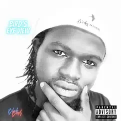 Bird's Eye View by Blvxk Bird album reviews, ratings, credits