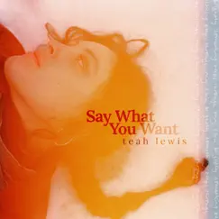 Say What You Want Song Lyrics
