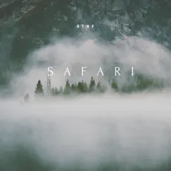 Safari - Single by 5thf album reviews, ratings, credits
