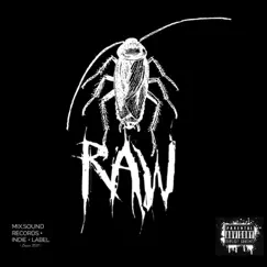 2K13 - EP by Raw album reviews, ratings, credits
