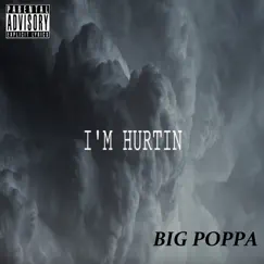 I'm Hurtin - Single by Big Poppa album reviews, ratings, credits