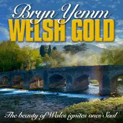 Welsh Gold by Bryn Yemm & The Morriston Orpheus Choir, The Morriston Orpheus Choir & The Treorchy Male Choir album reviews, ratings, credits