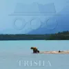 Trisha - Single album lyrics, reviews, download