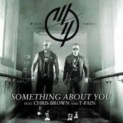 Something About You (feat. Chris Brown & T-Pain) - Single by Wisin & Yandel album reviews, ratings, credits