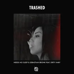 Trashed (feat. Dirty Hary) Song Lyrics