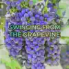 Swinging' From the Grapevine (feat. Tony Millions) - Single album lyrics, reviews, download