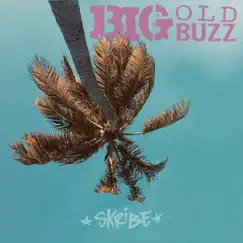 Big Old Buzz - Single by Skribe album reviews, ratings, credits