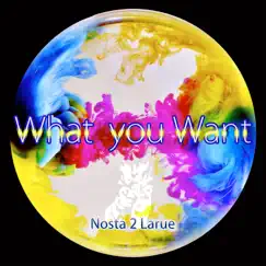 What You Want - Single by Nosta 2 Larue album reviews, ratings, credits