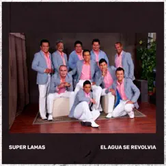 El Agua Se Revolvía - Single by Super Lamas album reviews, ratings, credits