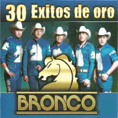 30 Éxitos de Oro, Vol. 2 by Bronco album reviews, ratings, credits
