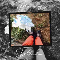 Peace Is My Destination - Single by D.Rob album reviews, ratings, credits