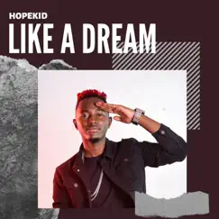 Like a Dream - Single by HopeKid album reviews, ratings, credits