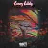 Lunacy Lullaby (feat. AkaForLone) - Single album lyrics, reviews, download