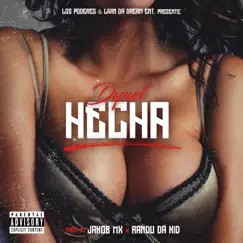 Hecha Song Lyrics