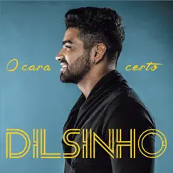 Cansei de Farra Song Lyrics