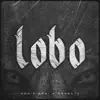 Lobo song lyrics