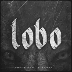 Lobo Song Lyrics