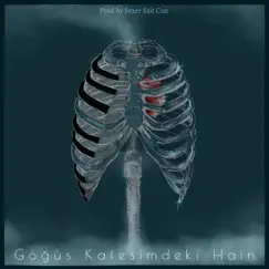 Göğüs Kafesimdeki Hain - Single by Sezer Sait Can album reviews, ratings, credits