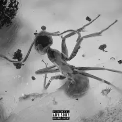 Insects - Single by LIL DUSTY G album reviews, ratings, credits