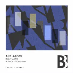 In My Arms - Single by ANT LaROCK album reviews, ratings, credits