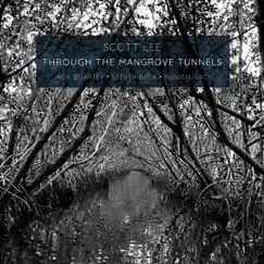 Through the Mangrove Tunnels: VIII. Floating Away Song Lyrics