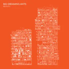 Big Dreaming Ants Remixes by Nana Adjoa album reviews, ratings, credits
