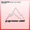 What You Want - Single album lyrics, reviews, download