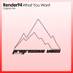 What You Want Song Lyrics